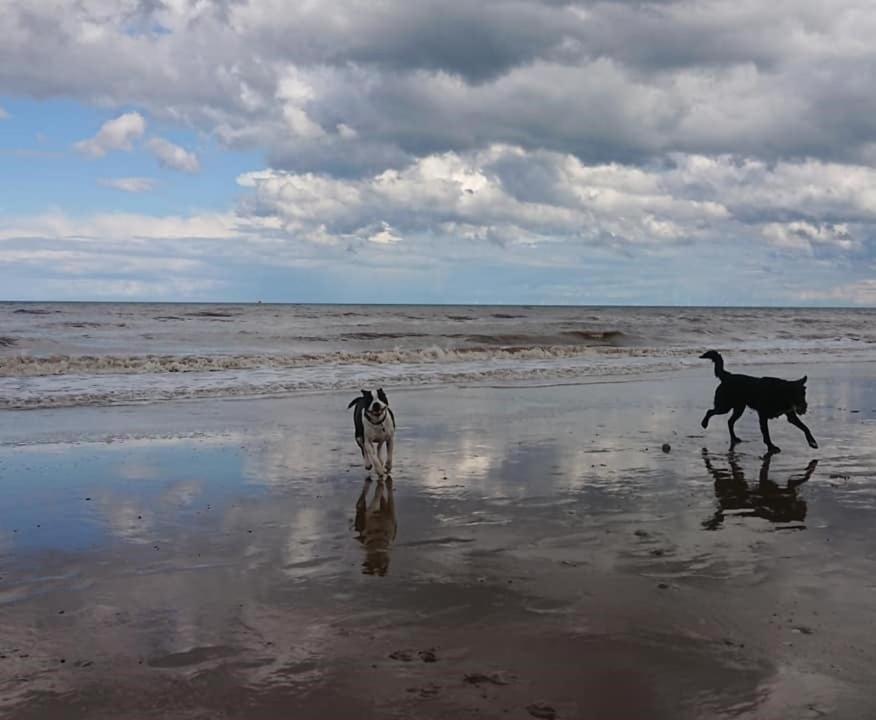 Вилла The Sun Trap @ Bridlington'S Bed & Bowl Beach Breaks Экстерьер фото